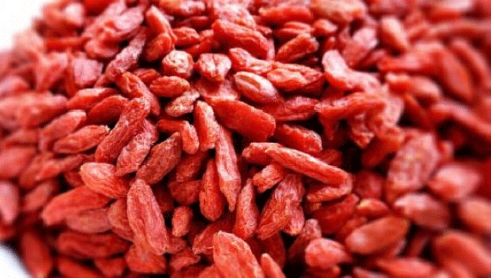 Seda Akgül ve Lipomagnet