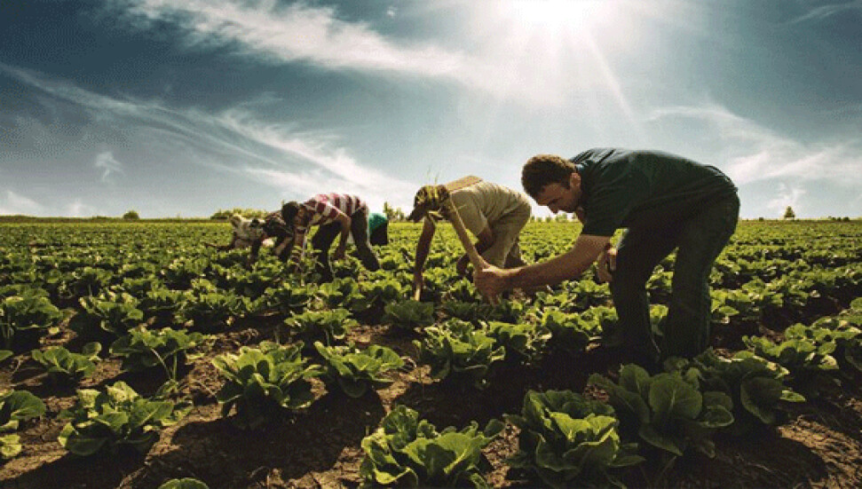 Ekilen ve dikilen ürün beyanlarına ait listeler askıya alındı