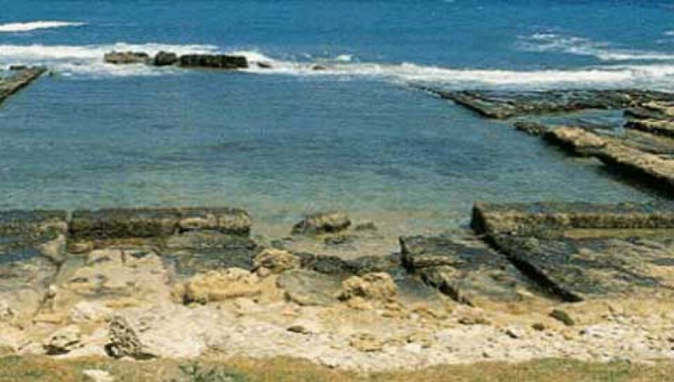 Milatlık tarihi, çöplük yaptık!