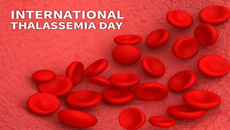 Thalassaemia Derneği herkese hak ettiği hizmetin verilmesini talep etti