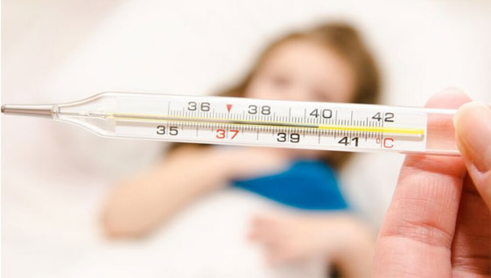 Tifüs teşhisleri endişelere neden olurken Bakanlık bihaber!