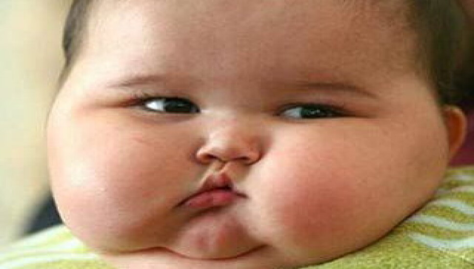 7 aylık ama 20 kilo!