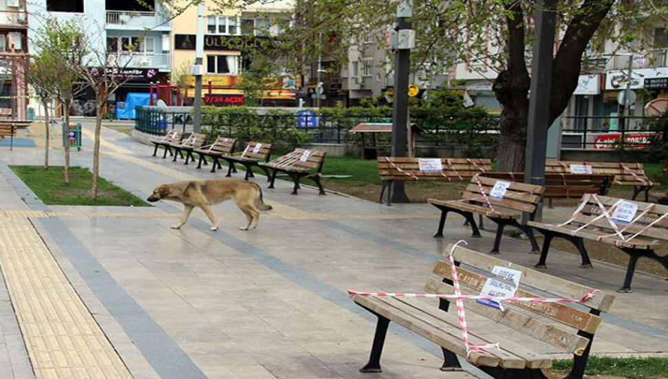 Ankara’da sokak hayvanları unutulmadı