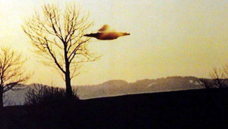 Uzaylılar bıçak çaldı