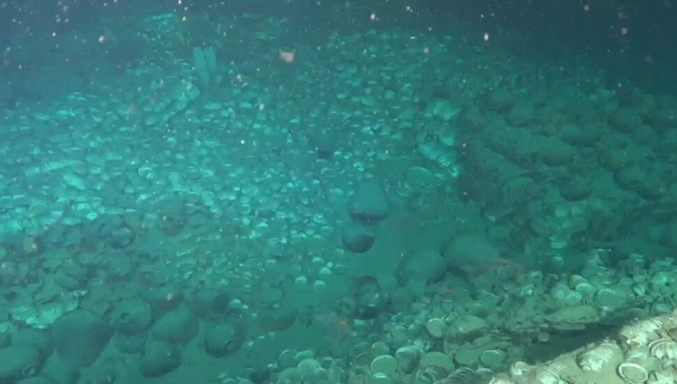 Sualtı arkeologları, tarihi İpek Yolu'nun işlek güzergahına ışık tuttu