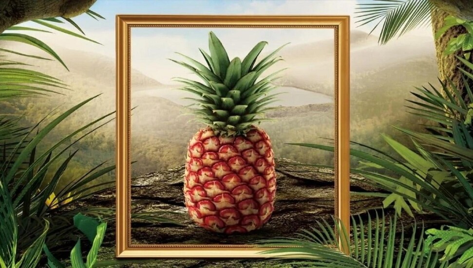 400 dolarlık ananas yok satıyor