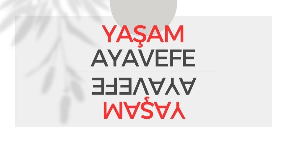 Yaşam Ayavefe ve kripto paraların geleceği: Dijital finansın dönüşümü