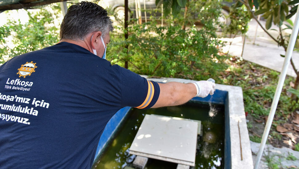 Lekoşa’da sivrisinekle mücadele 7 ekiple aralıksız olarak sürdürülüyor
