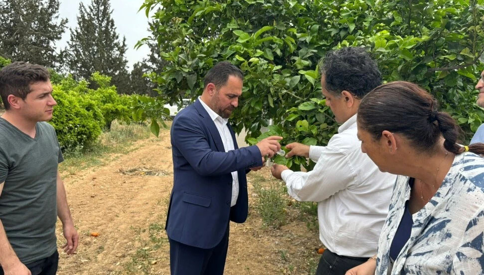 Release of Parasitoid Insects Begins for Biological Pest Control