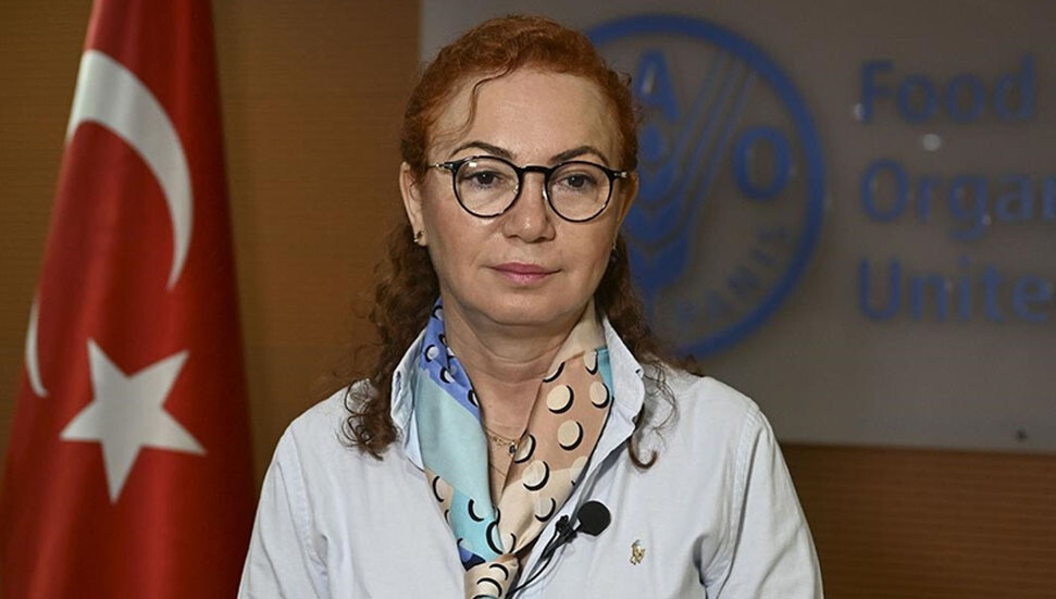 FAO'ya göre, her yıl 600 milyon kişi gıda kaynaklı hastalıklarla savaşıyor