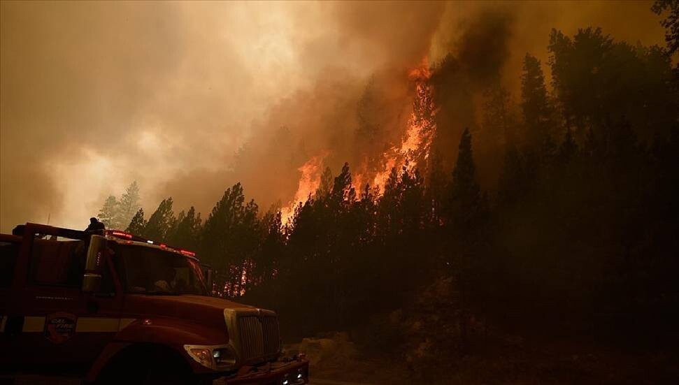 Celebrities Lose Homes and Flee as Los Angeles Fires Spread