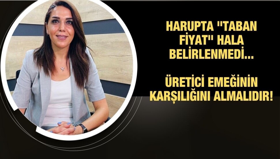 Fide Kürşat: "Sözde hükümetin yönettiği kurumlar harup konusunda da güven vermiyor"