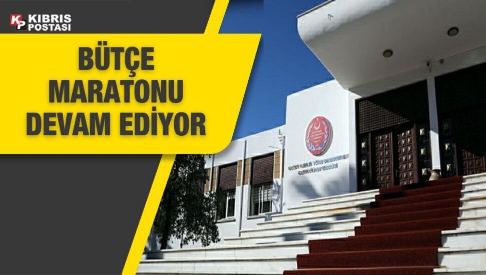 Cumhuriyet Meclisi’nde bütçe maratonu 3. gününde