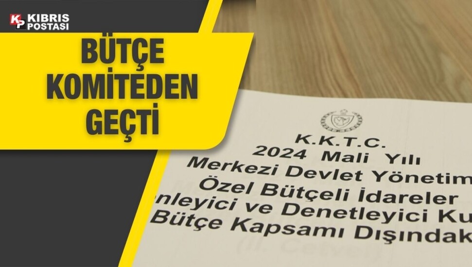 Başbakan Yardımcılığı, Turizm, Kültür, Gençlik ve Çevre Bakanlığı bütçesi komiteden geçti