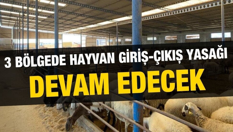 Çiçek hastalığına karşı koruyucu aşı yapımı tamamlandı: Toplam 17 bin 59 küçükbaş aşılandı