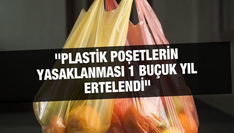 Hasan Sarpten: Hükümet, naylon poşet yasağı konusunda geri adım attı 