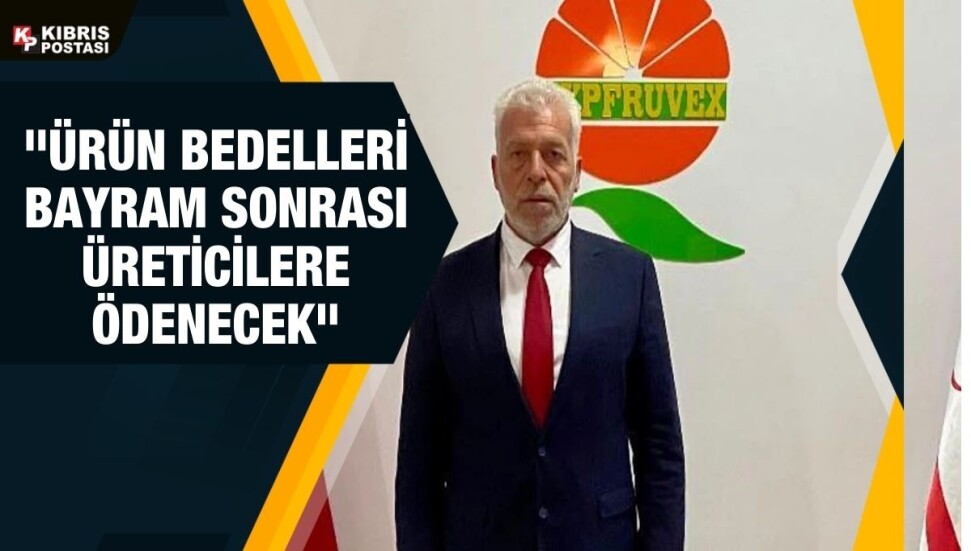 Cypfruvex Müdürü Redif’ten açıklama: Son portakal toplanıncaya kadar çalışmaya devam edeceğiz