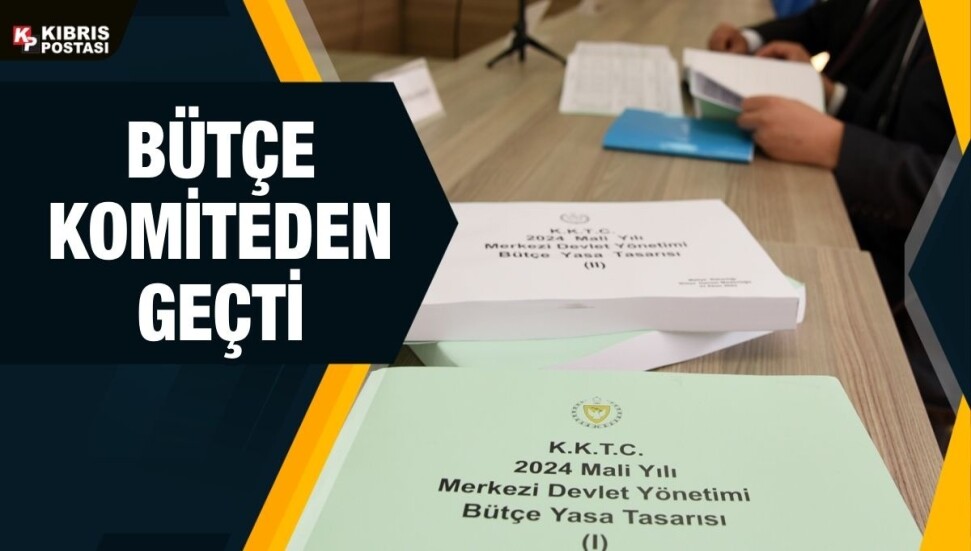 Tarım ve Doğal Kaynaklar Bakanlığı, SÜTEK ve Genel Tarım Sigortası Fonu bütçeleri oy çokluğuyla kabul edildi