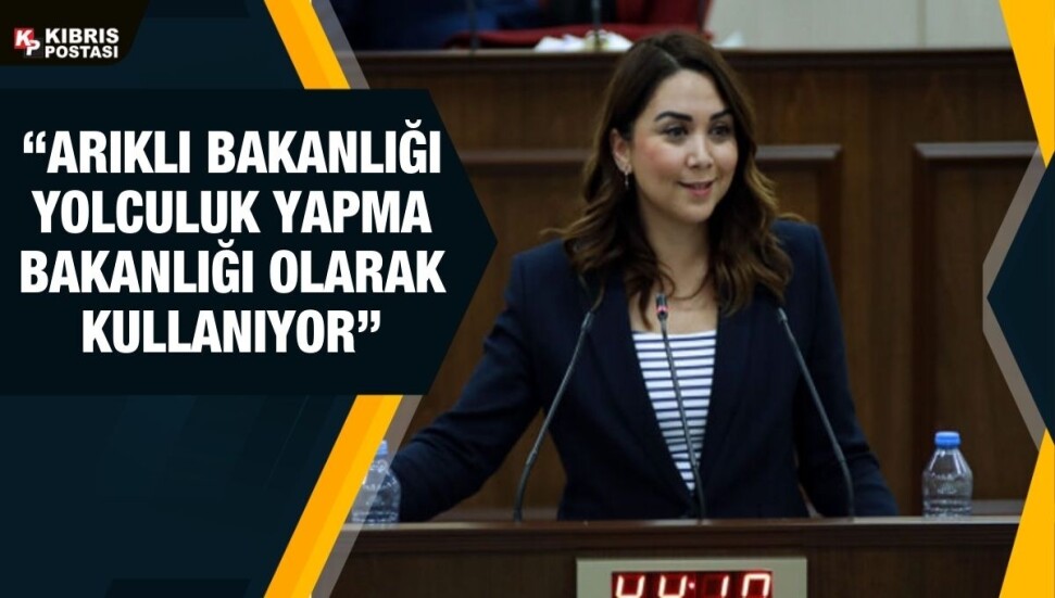 Ayşegül Baybars: Arıklı sözünü ettiği reformların hangilerini hayata geçirdi?