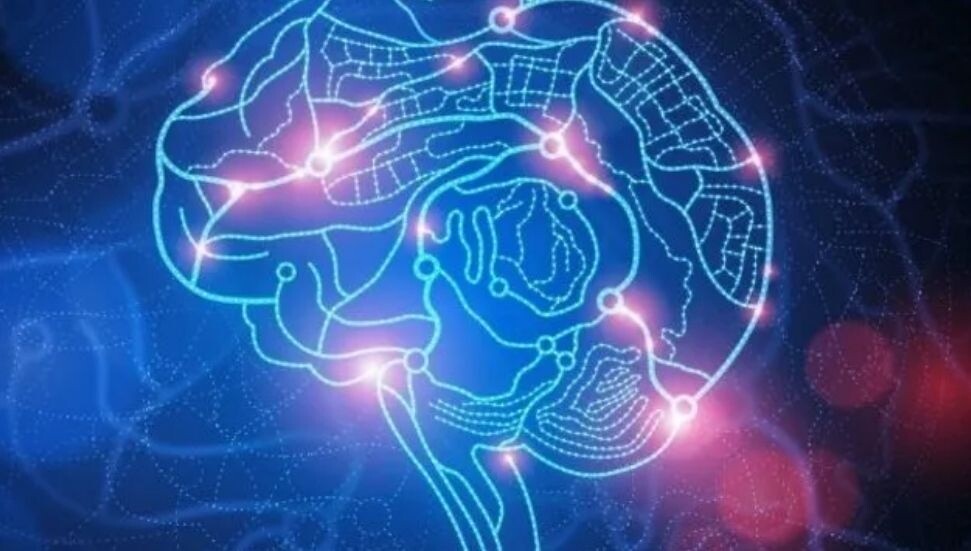 Veterinerler: Bir Kıbrıslı Türk'te deli dana tespit edildi! Koruyucu önlemler ivedilikle ele alınmalı