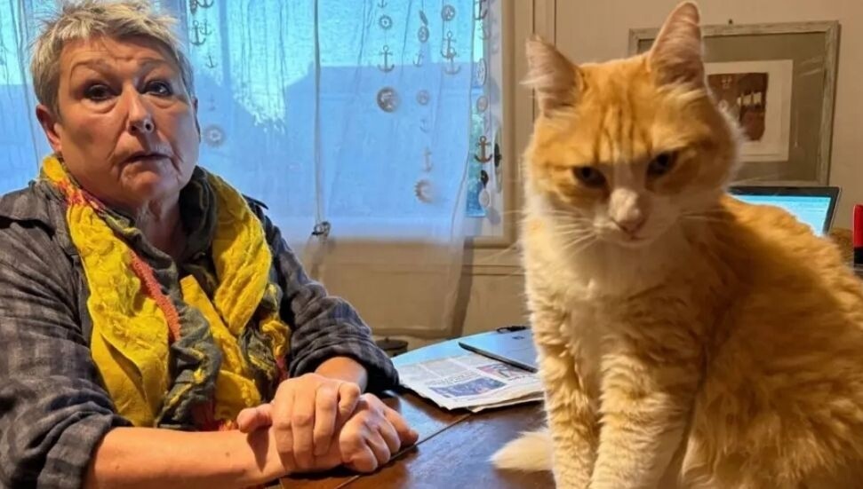 Fransa'da kediye ev hapsi verildi!