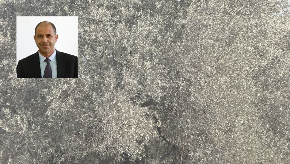 Kudret Özersay: Şirinevler, Akçiçek ve Göçeri'de taş ocaklarının yarattığı yoğun toz köylüleri mağdur ediyor