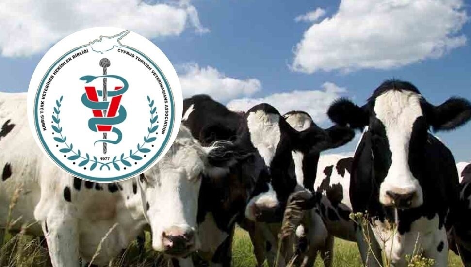 Kıbrıs Türk Veteriner Hekimler Birliği: Şap Hastalığı KKTC’de; halkın et ve süt tüketmesinde risk yok