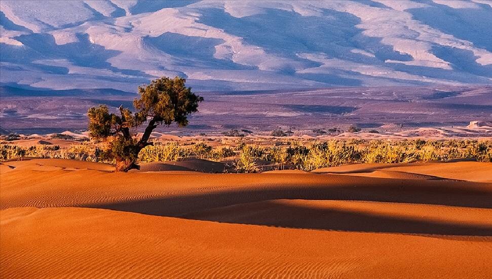 Afrika'da iklim değişikliği, 2050'ye kadar milyonlarca kişiyi yerinden edebilir