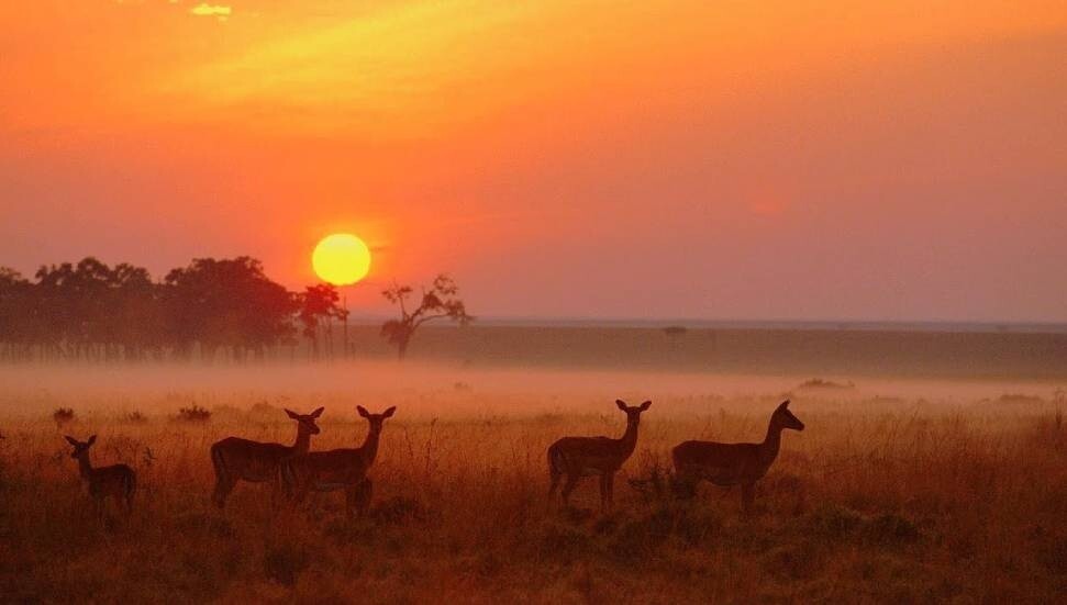 Turist sayısını en çok artıran ülkeler açıklandı