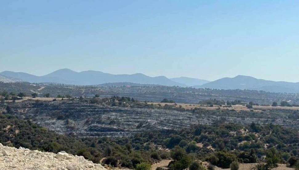 3,5 kilometrekarelik alanda etkin olan Alassa yangınının çıkış noktası tespit edildi