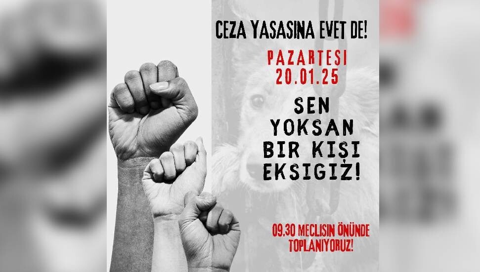 Altın Patiler Derneği, Meclis önünde toplanacak