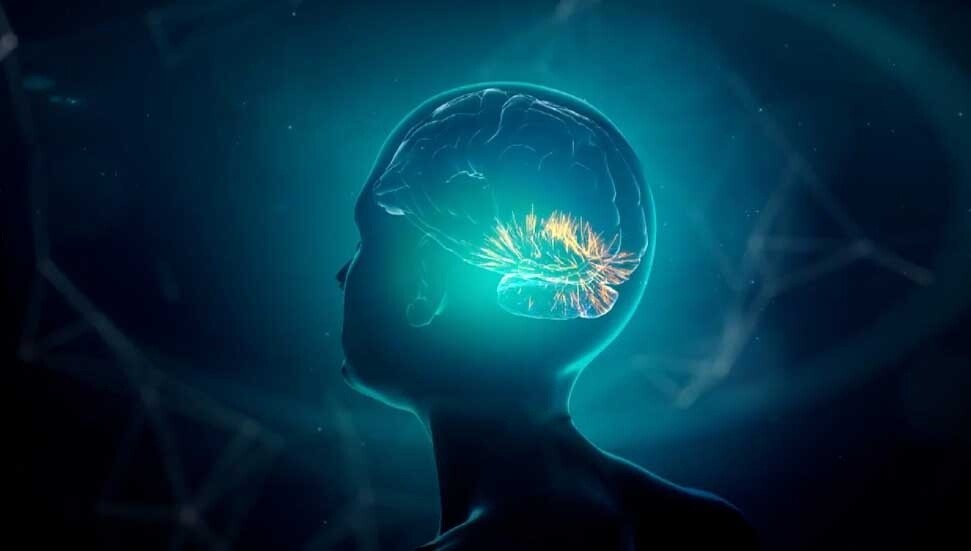 Omega yağ asidi takviyeleri kadınlarda Alzheimer riskini azaltabilir