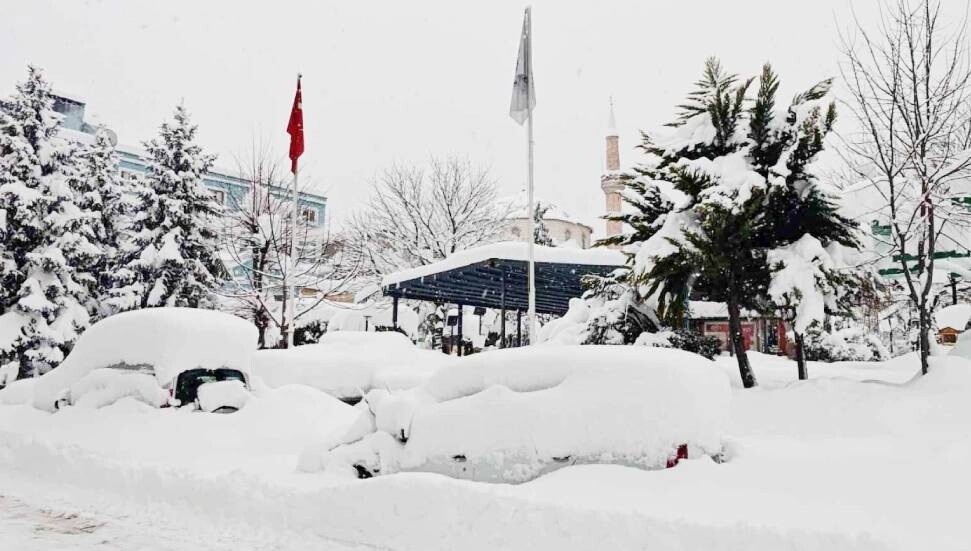 Artvin'de 7 gündür okullar tatil, son 25 yılın en sert kışı yaşanıyor