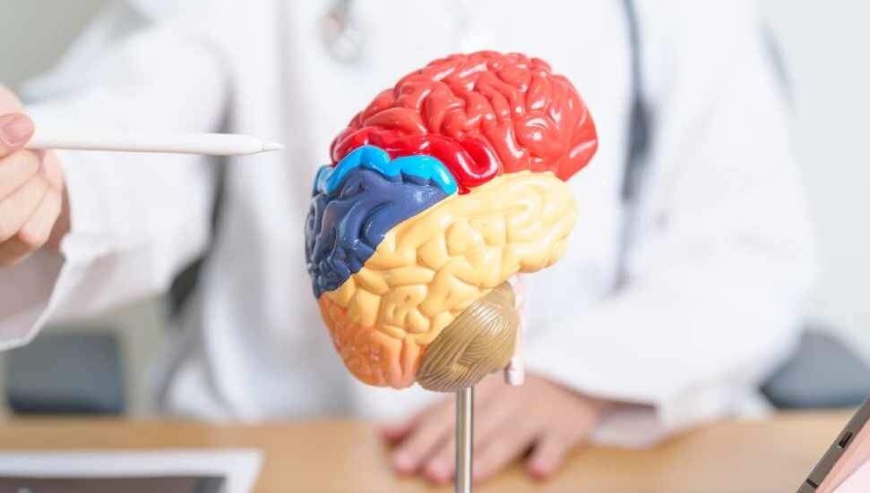 Egzersiz ve uyku beyni genç tutuyor