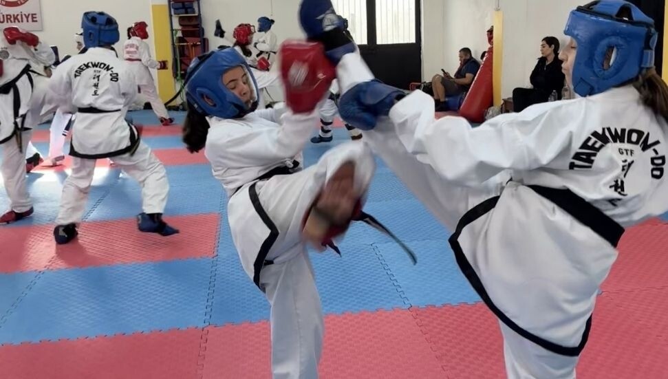 Şükrü Arusan anısına taekwondo ve karate şampiyonası düzenleniyor