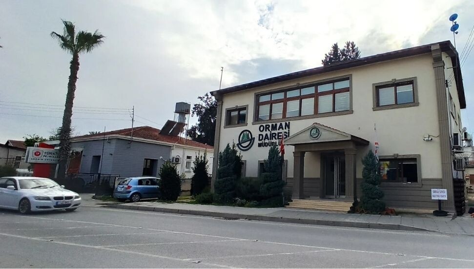 Orman Dairesi Müdürlüğü: Boğazköy’deki ağaç kesimi izinsiz yapıldı