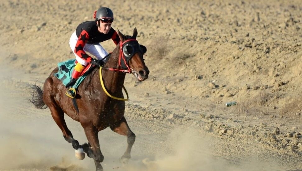 At Yarışları Derneği’nin düzenleyeceği ilk koşu, 25 Mayıs’ta Alayköy Hipodromu’nda!