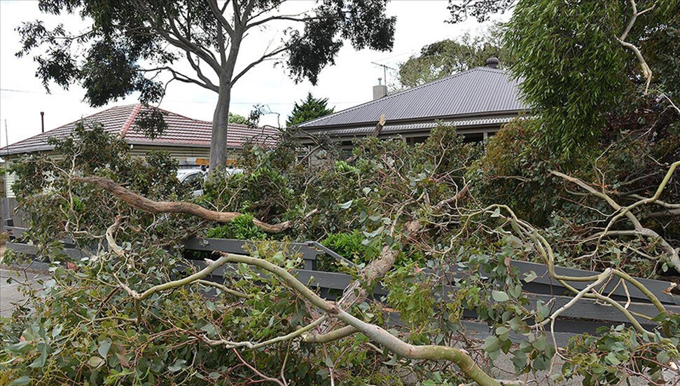 Avustralya’da şiddetli rüzgar nedeniyle binlerce ev elektriksiz kaldı