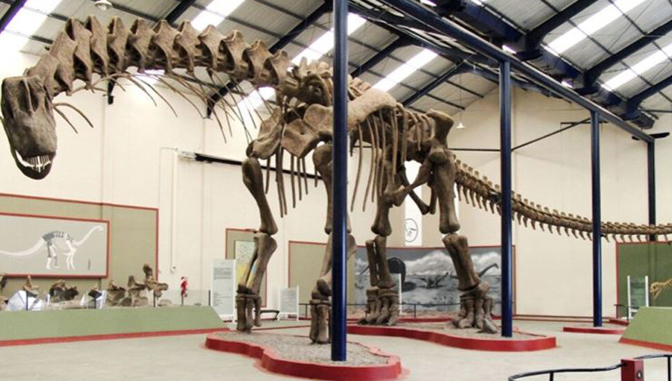 İspanyol ve Portekizli Paleontologlar 30 adet dinozor yumurtası buldu