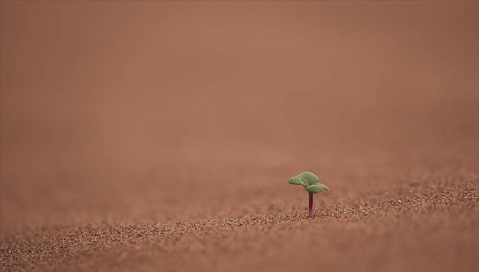 Bilim insanları, iklim aksiyonunun artırılması için fırsat penceresinin hızla kapandığı uyarısında bulundu