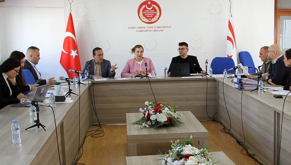 Ekonomi, Maliye, Bütçe ve Plan Komitesi toplandı