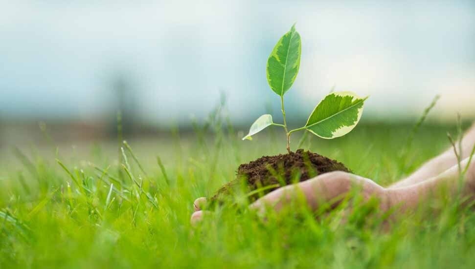 Tabipler Birliği: Çevre sağlığını ve temiz havayı korumak ortak sorumluluğumuz