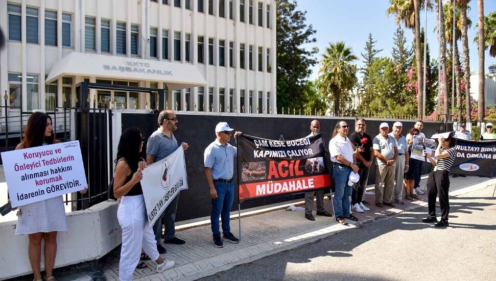 Çevre Platformu’ndan uyarı: İhaleye çıkılmazsa havadan biyolojik ilaçlama için geç kalınacak