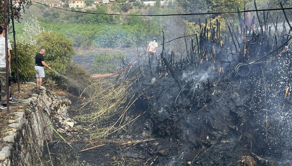 Aziz Kaya, Lefke'deki yangının kontrol altına alındığını duyurdu