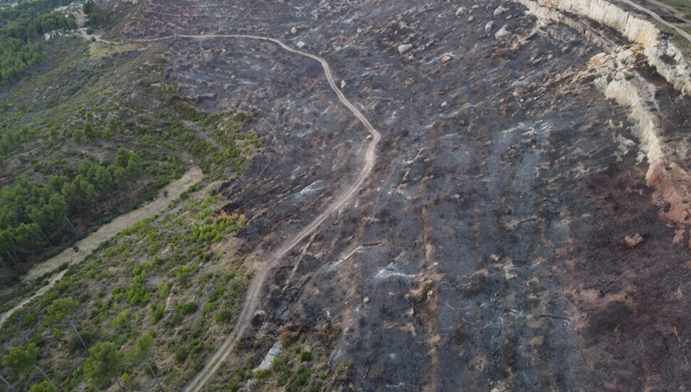 Fransa’da Pennes-Mirabeau’da çıkan yangın nedeniyle 750 hektardan fazla orman yandı