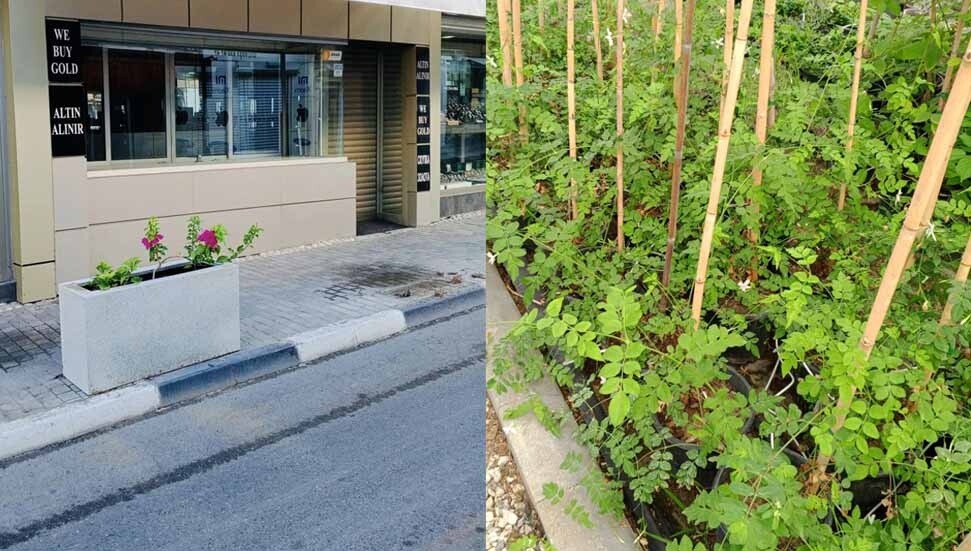 Girne’de renkli dönüşüm: Canbulat Sokak çiçek açtı