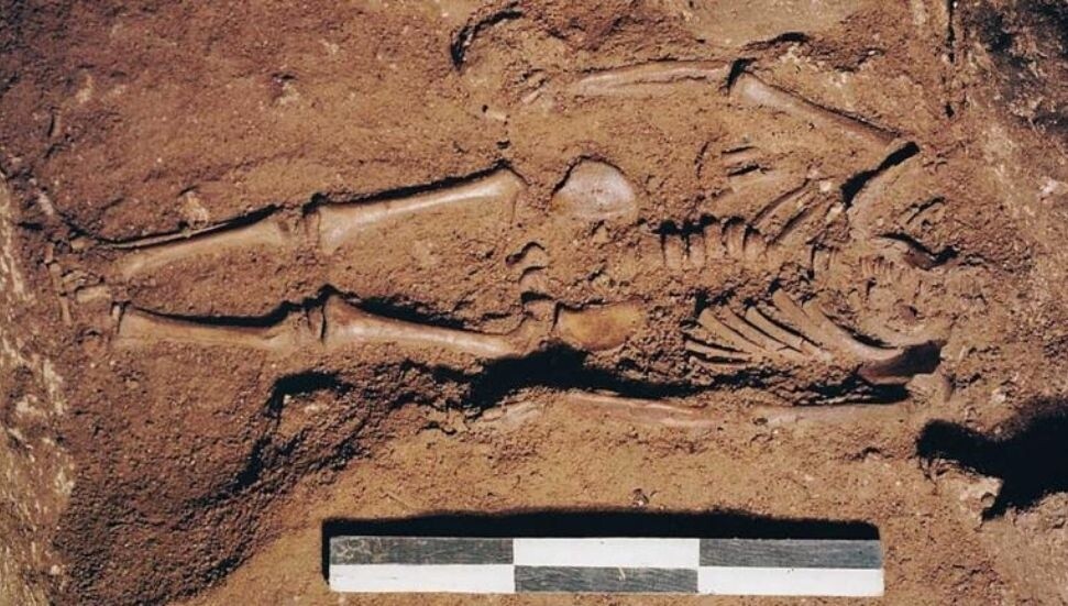 17 bin yıl önce doğan çocuk, mavi göze dair en eski kanıtı sundu