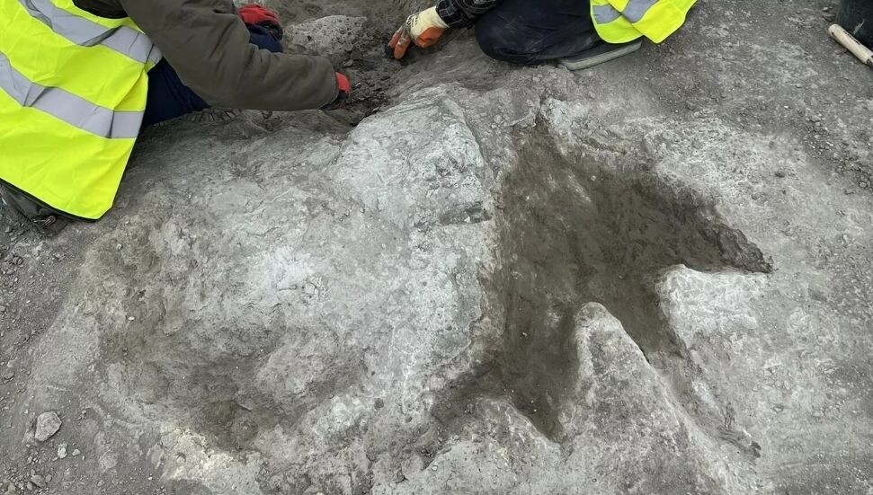 İngiltere'de 166 milyon yıl öncesine ait 200 dinozor ayak izi bulundu