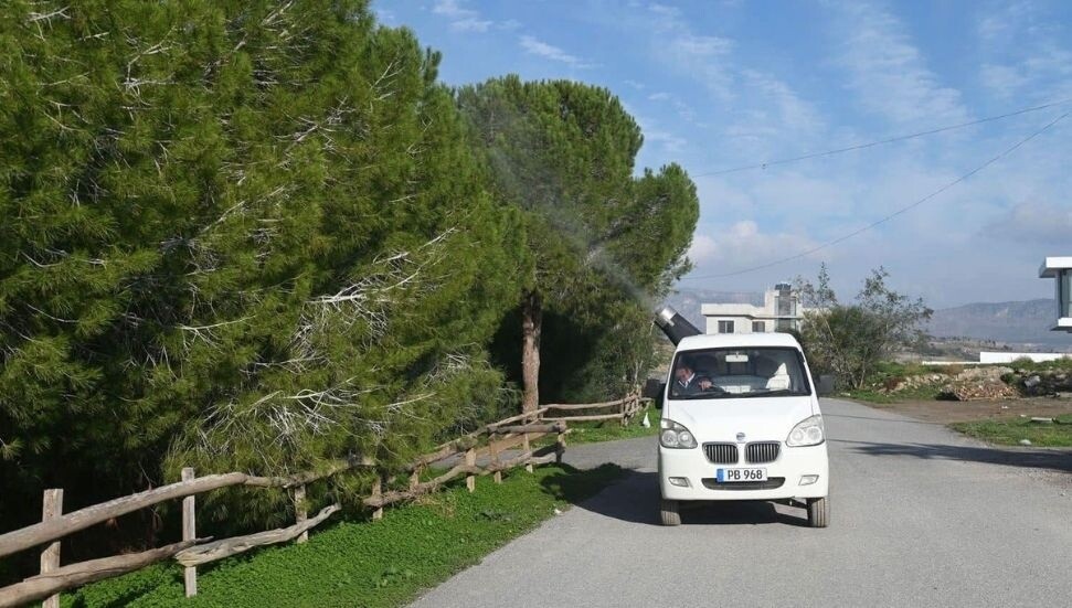 Gönyeli-Alayköy Belediyesi’nin çam kese böceğiyle mücadelesi sürüyor