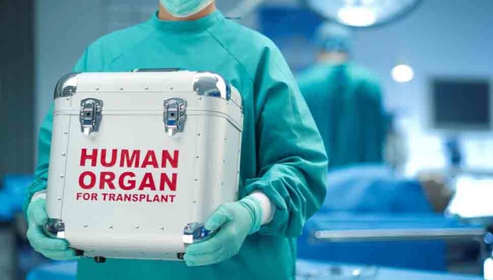 Europol soruşturmasında Güney Kıbrıs bağlantısı: Organ nakli alıcısının daimi ikamet sahibi olduğu belirlendi